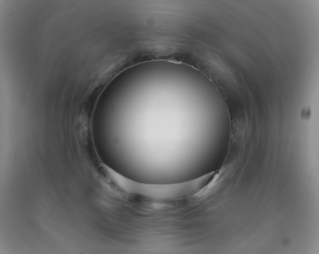 X0000091950184200709201330