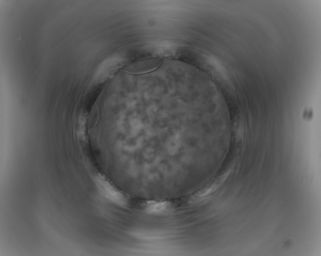 X0000091950185200709201330