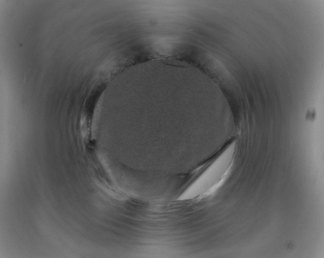 X0000091950186200709201330