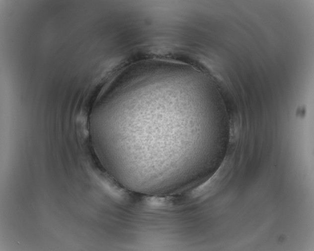 X0000091950187200709201330