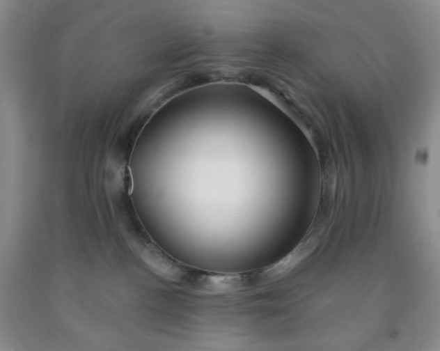 X0000091950188200709201330