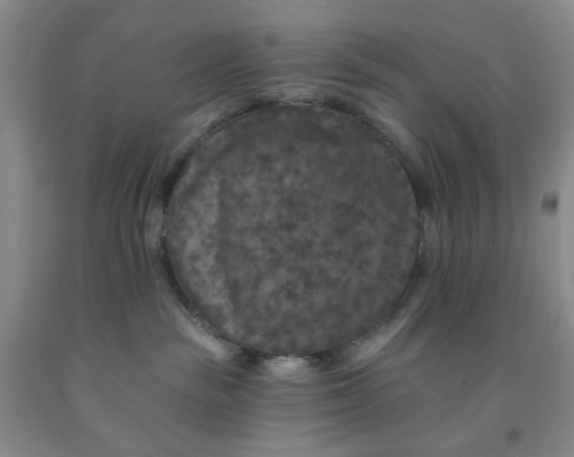 X0000091950189200709201330