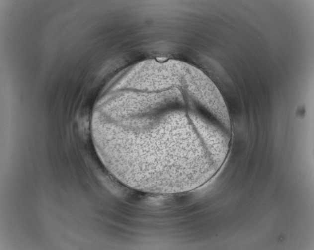 X0000091950190200709201330