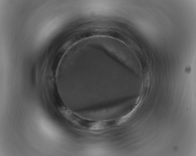 X0000091950191200709201330