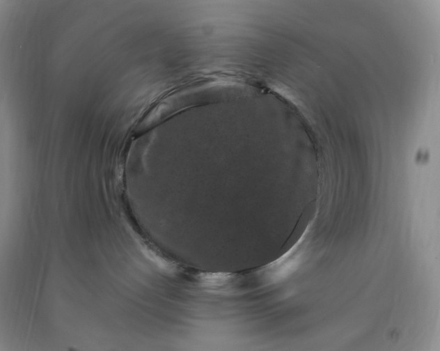 X0000091950192200709201330