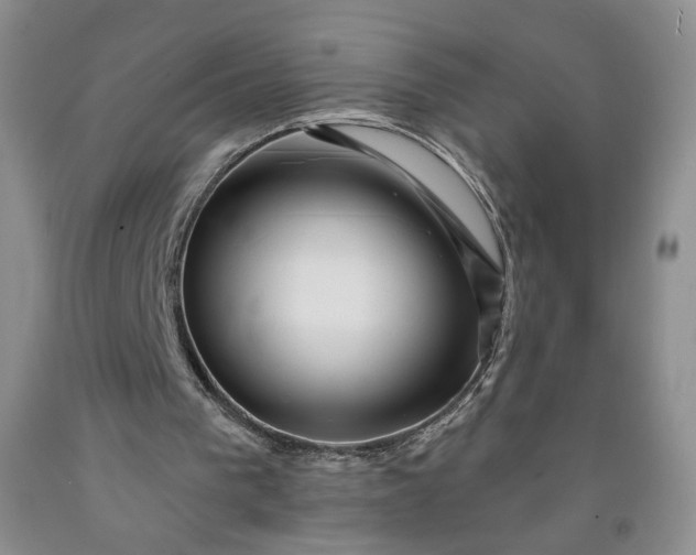 X0000091950193200709201329