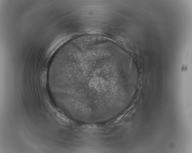 X0000091950194200709201329