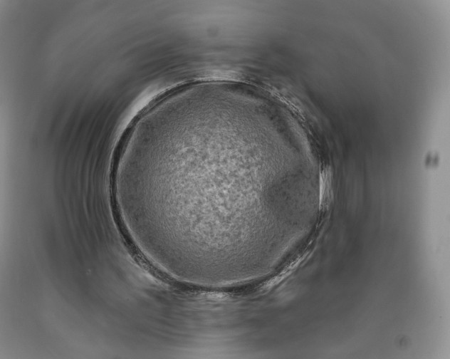 X0000091950195200709201329