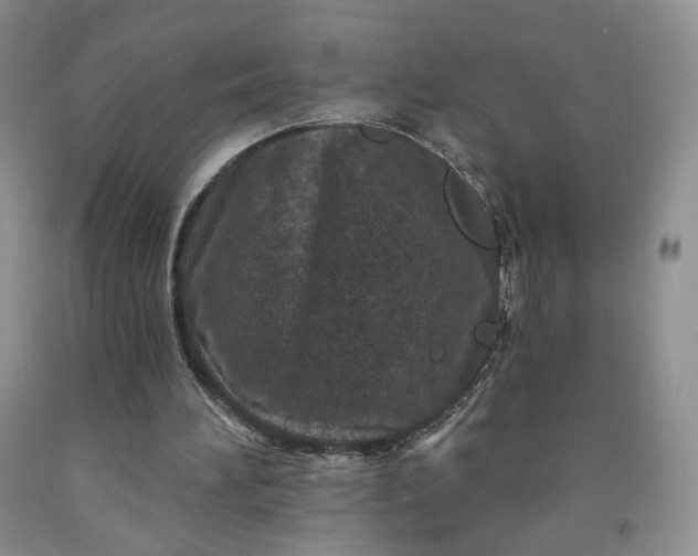 X0000091950196200709201329