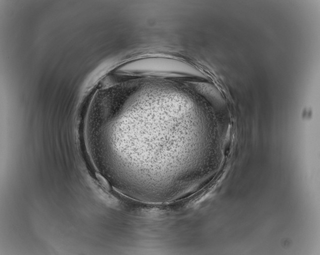 X0000091950197200709201329