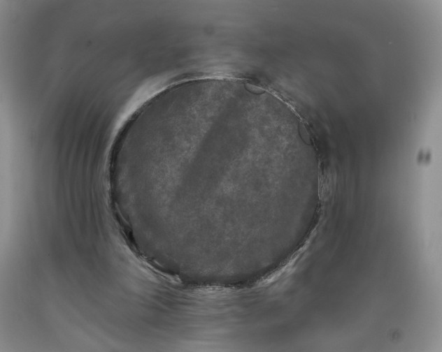 X0000091950198200709201329