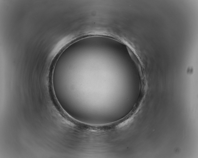 X0000091950199200709201329