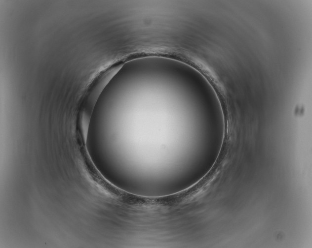 X0000091950201200709201329