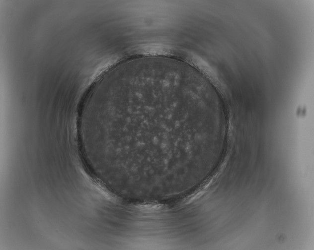 X0000091950202200709201329