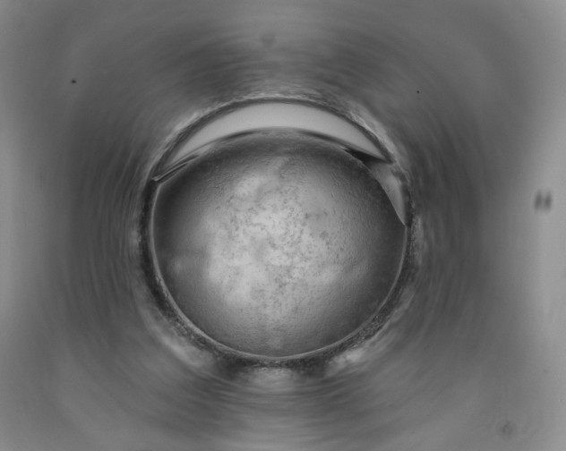 X0000091950203200709201329