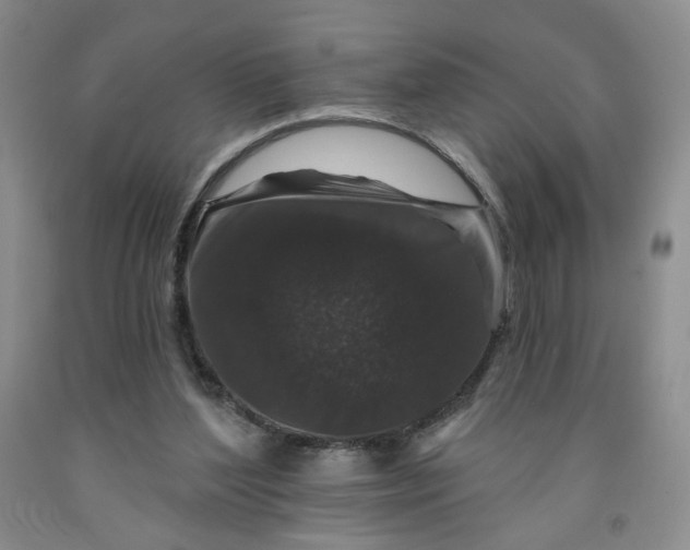 X0000091950204200709201329