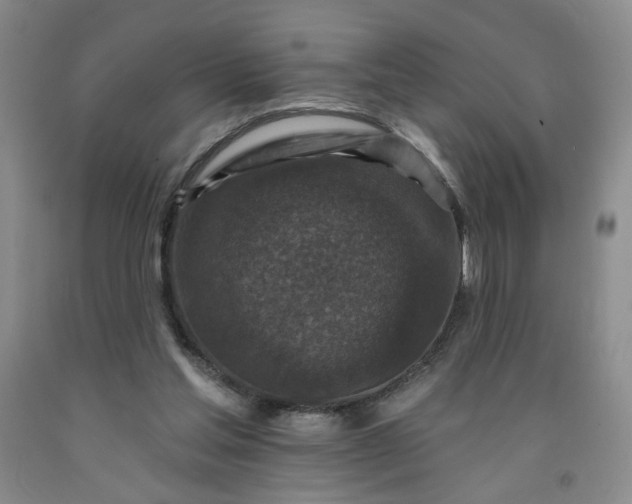 X0000091950205200709201329