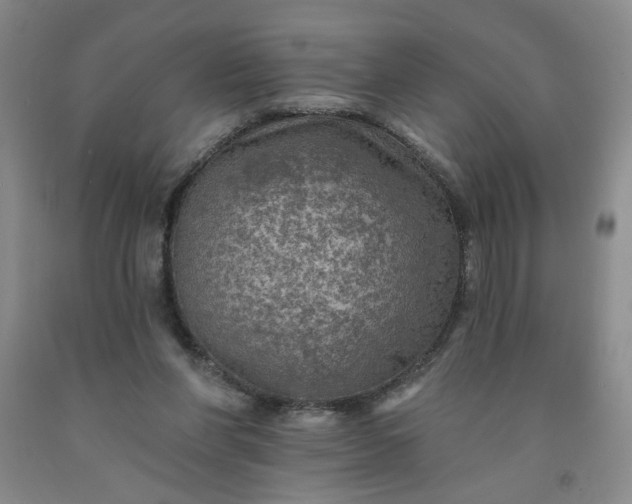 X0000091950206200709201329