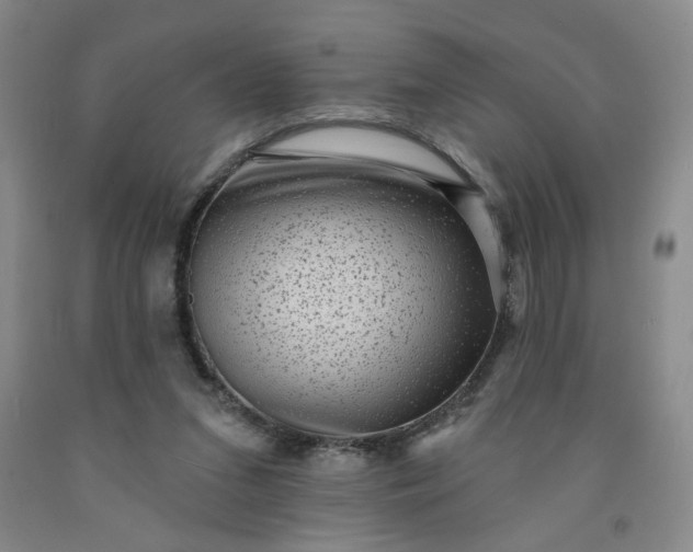 X0000091950207200709201329