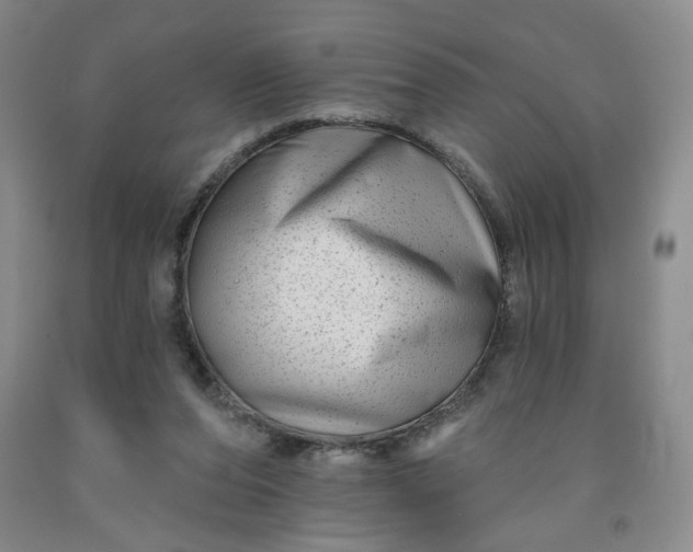 X0000091950208200709201329