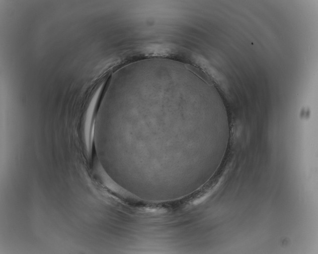 X0000091950209200709201329