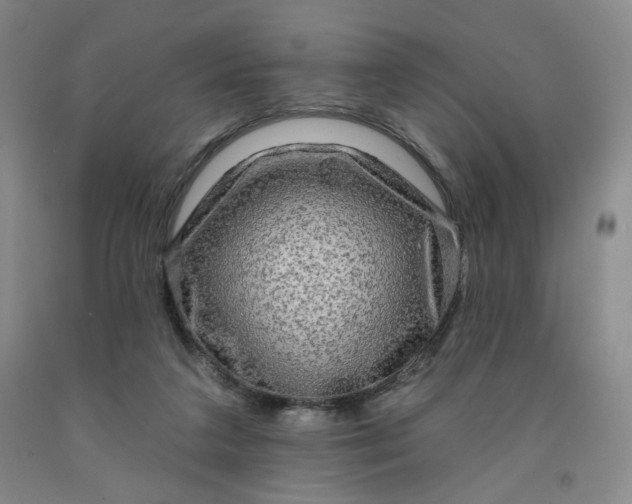 X0000091950211200709201329