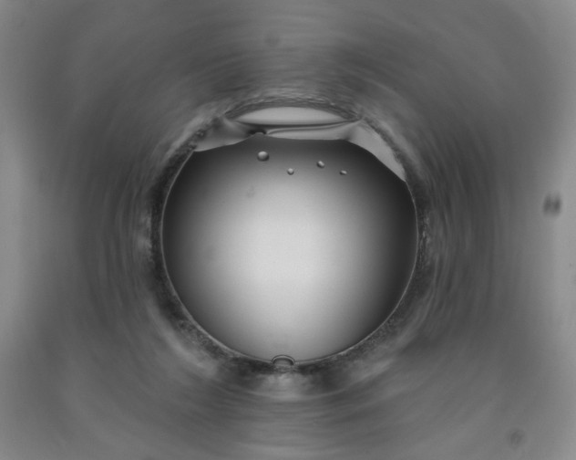 X0000091950212200709201329