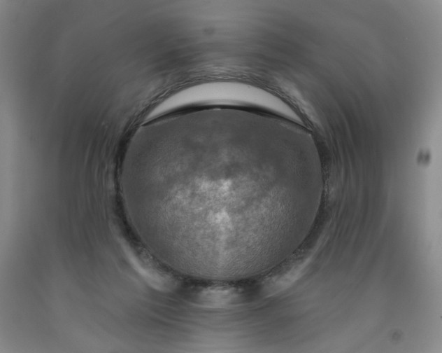 X0000091950213200709201329