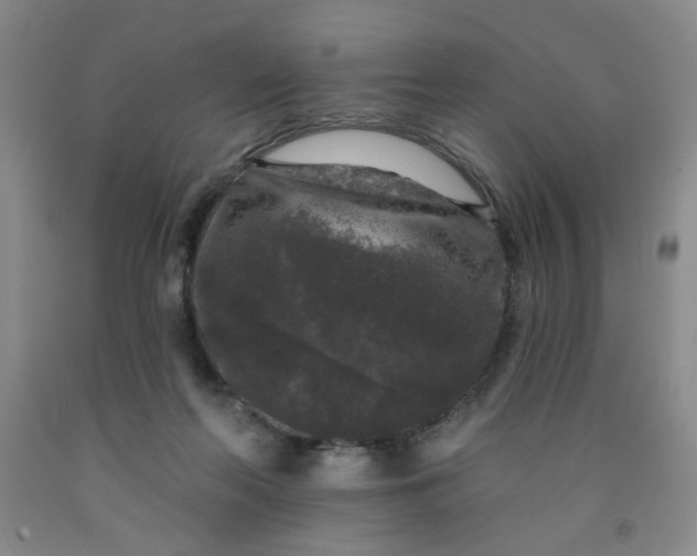 X0000091950214200709201329