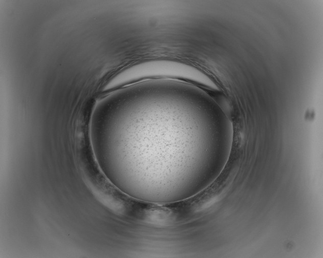 X0000091950215200709201329