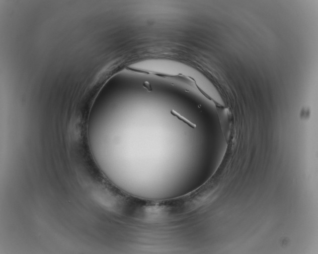 X0000091950216200709201329