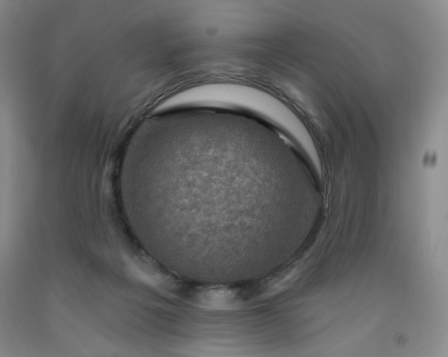 X0000091950217200709201329