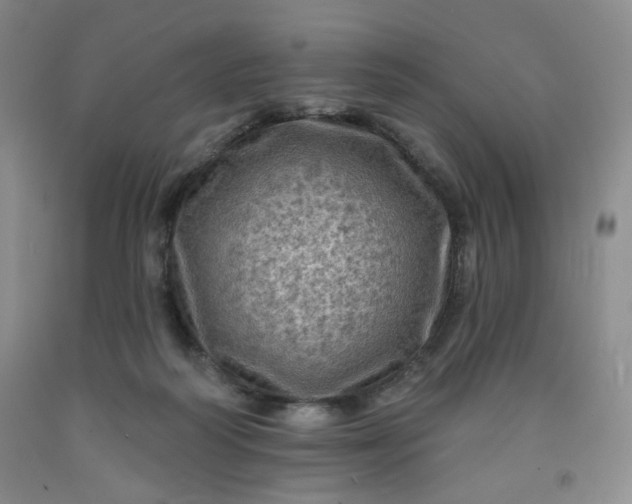 X0000091950218200709201329