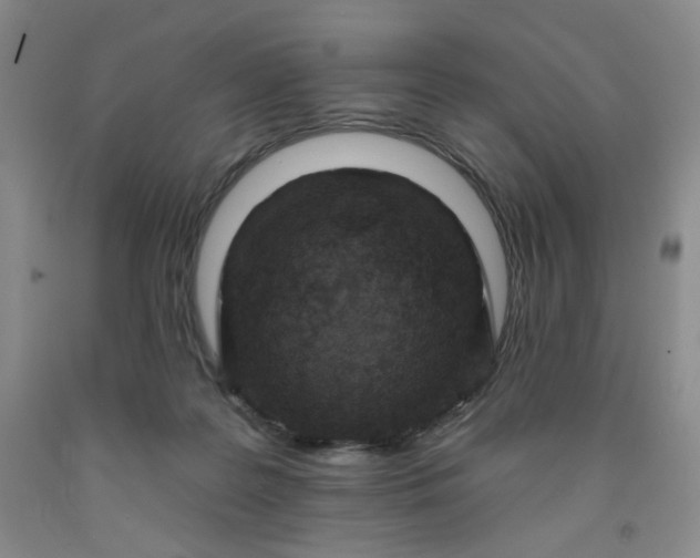 X0000091950219200709201329