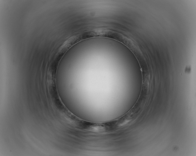 X0000091950220200709201329