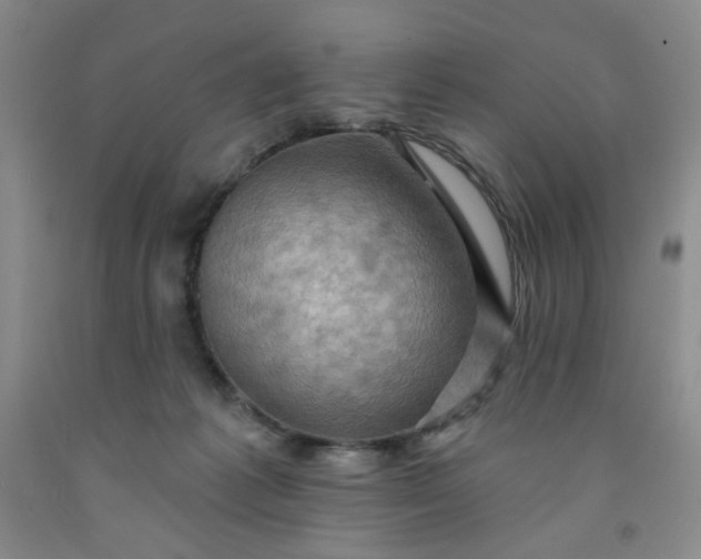 X0000091950221200709201329