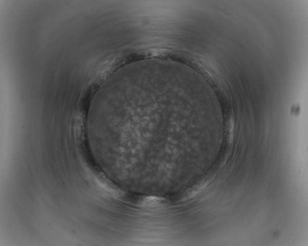 X0000091950222200709201329