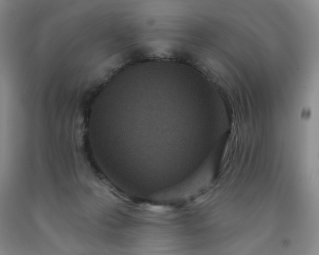 X0000091950223200709201329