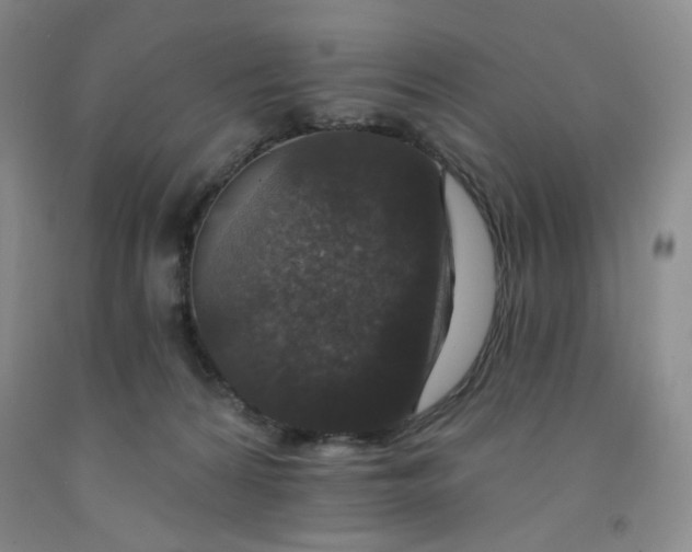 X0000091950224200709201329