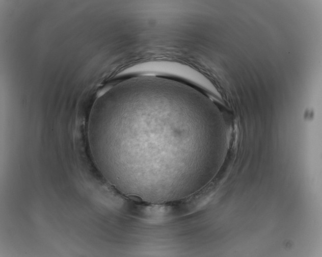 X0000091950225200709201329