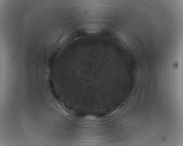 X0000091950227200709201329