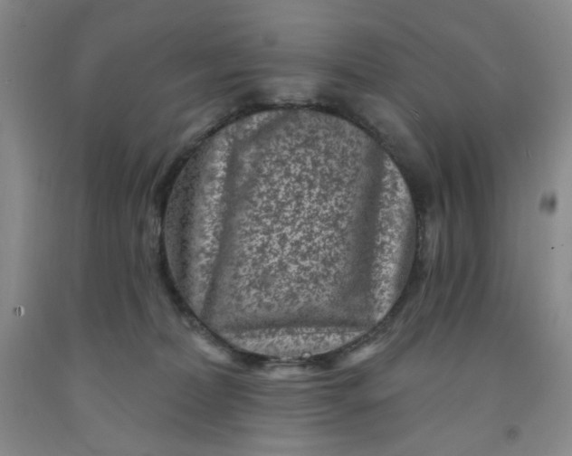 X0000091950228200709201329