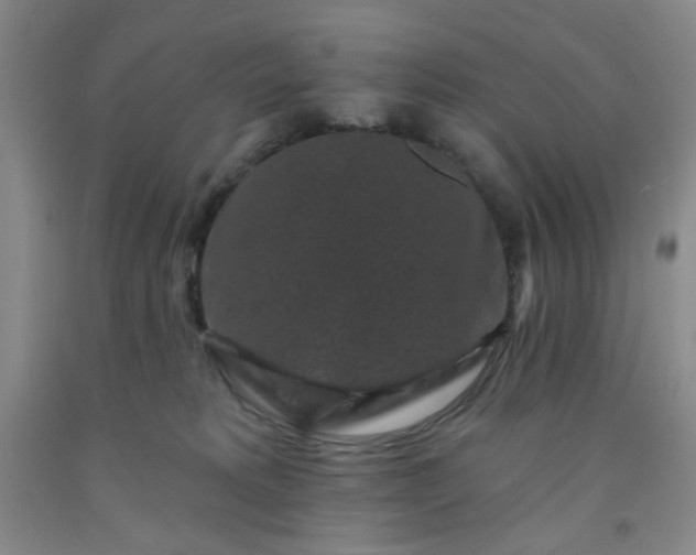 X0000091950229200709201329