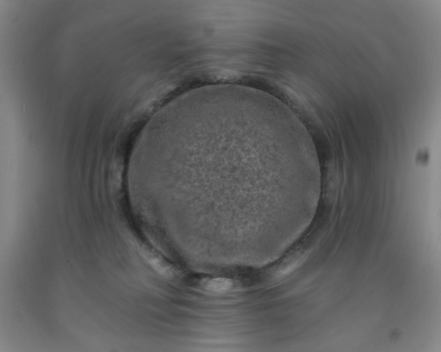 X0000091950230200709201329