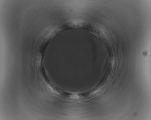 X0000091950231200709201329