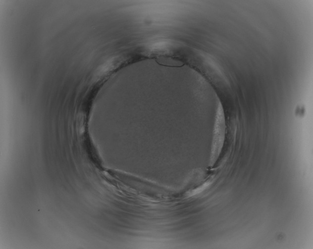 X0000091950232200709201329