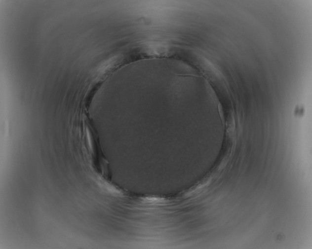 X0000091950233200709201329