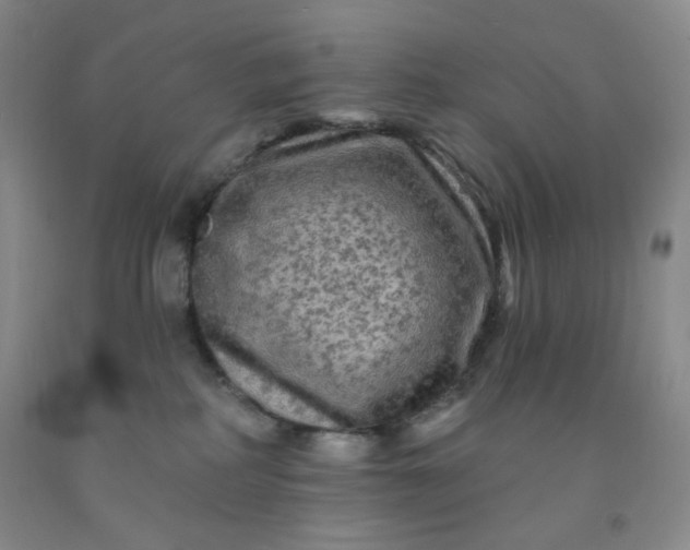 X0000091950234200709201329