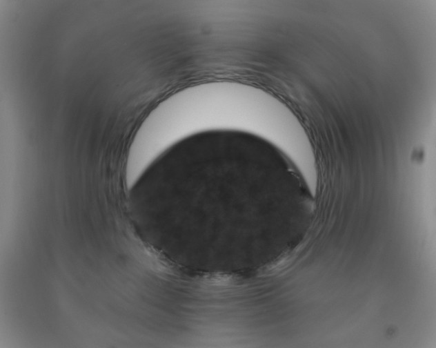 X0000091950235200709201329