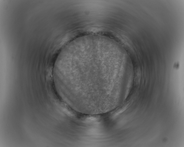 X0000091950236200709201329